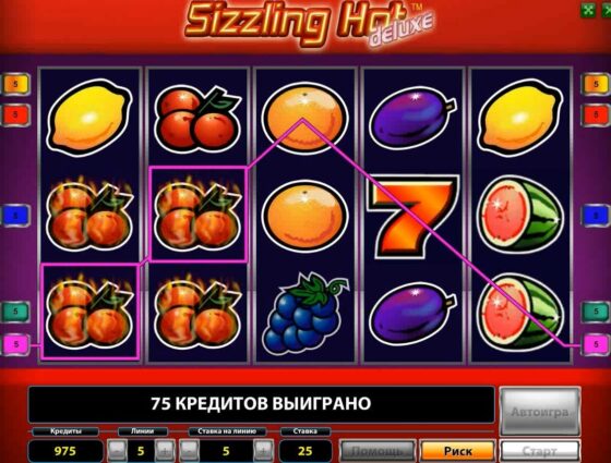 Правили гри Sizzling Hot Deluxe